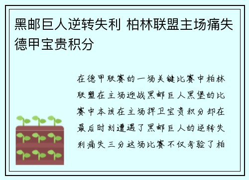 黑邮巨人逆转失利 柏林联盟主场痛失德甲宝贵积分